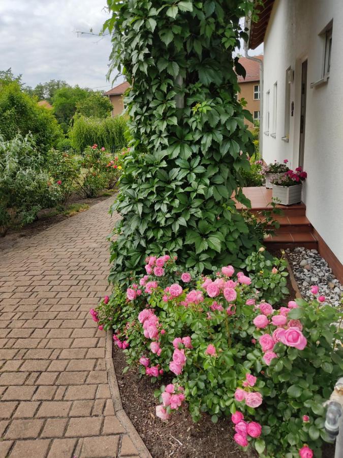 Apartment Grosszuegige Am Waldesrand Im Seenland
